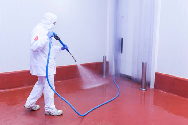 Best Patio and Deck Pressure Washing  in Markle, IN
